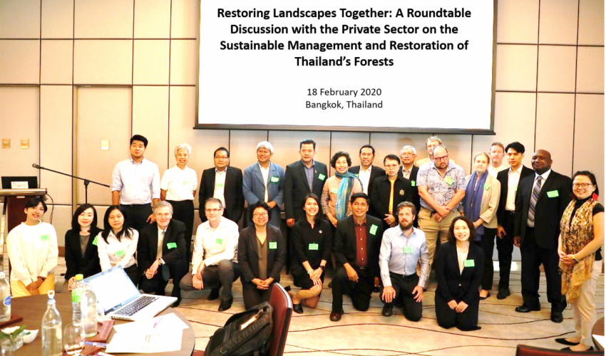 Private sector role in sustainable management and restoration of Thailand’s forests
