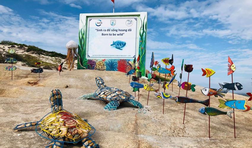 2020 Call for application: Marine turtle conservation volunteer programme in Hon Cau Marine Protected Area (MPA)