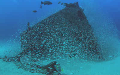 22nd anniversary of the UNESCO Convention for the Protection of Underwater Cultural Heritage